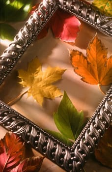 colorful autumn leaves in a metal frame