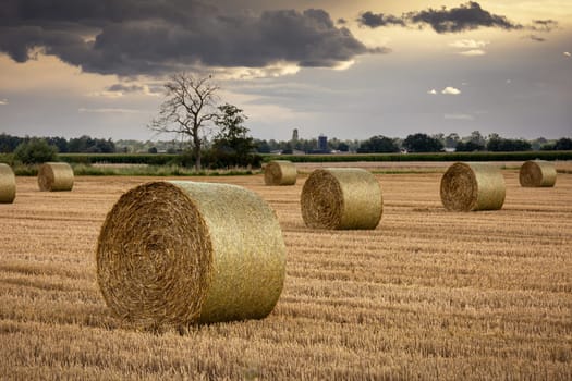 Bale of straw and cornfield