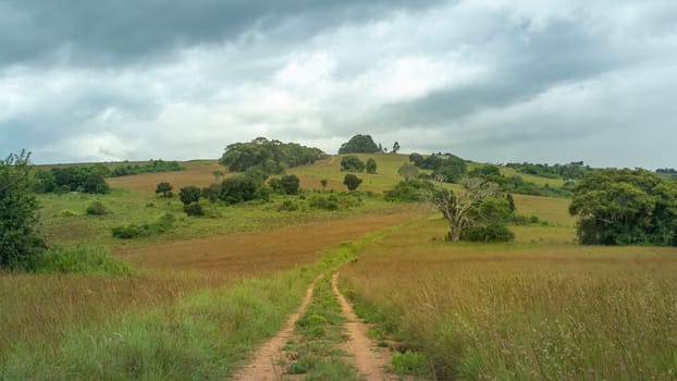 4x4 Off road dirt track in Nyika National park in Malawi, Africa. Travel and tourism.