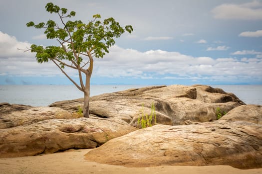 Lake Malawi beach view in Chinteche with trees and rock in foreground. Travel and tourism in Africa