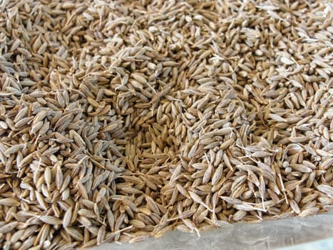The texture of anise grains on the market in Asia, top view