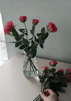 A woman puts roses in a vase of the house on the bright table by the window