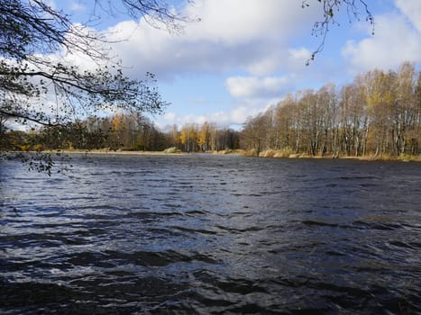 tide high water on the river autumn landscape