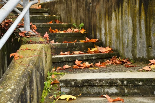 autumnal painted leaves on stairs in a city