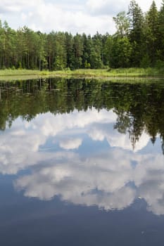 Mirror surface of the river water surface in the middle of the forest. Vacation on the forest river. Vertical image