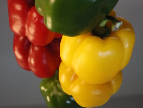 delicious peppers of bright colors natural aroma balance different