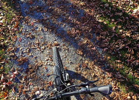 Cycling in autumn. The front wheel of a bicycle on a path with autumn leaves