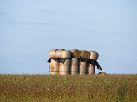 beautiful stacked straw bullets creating an artistic figure in the field