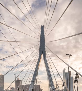 Detail of the Erasmus bridge in the city of Rotterdam, Netherlands