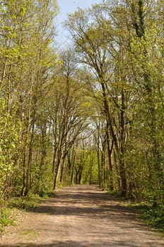 Communal forest of Saint-Pierre-Lès-Elbeuf
