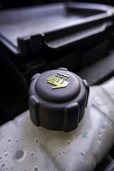 Detail of coolant reservoir in a car engine