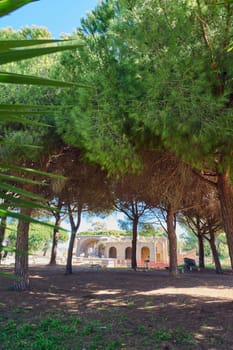 Historic ruins of the thermal baths of Civitavecchia, Italy, hidden among the trees. Perfect for historical and archaeological themes.