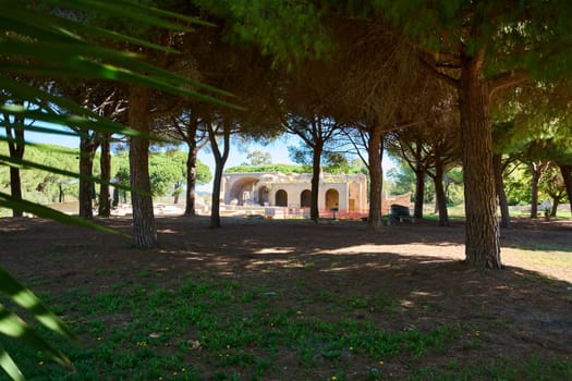 Ancient roman baths in Civitavecchia, Italy, surrounded by lush trees and greenery. Ideal for history enthusiasts and travel-related content. Ancient roman baths in Civitavecchia