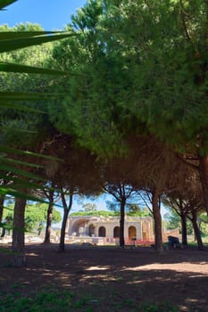 Roman thermal bath ruins in Civitavecchia, Italy, surrounded by forested landscape. Perfect for cultural and historical content.