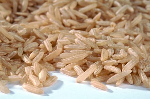 Oryza L rice is a type of cereal from the grass family