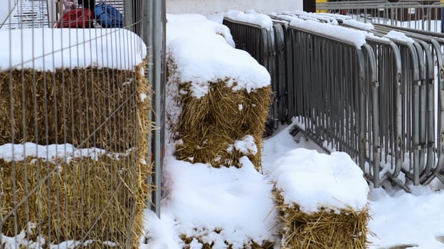 A portable metal event fence is kept in one place at the fair in the snow outdoors in winter. Gray grates for cluttering the area and organizing the queue for the event