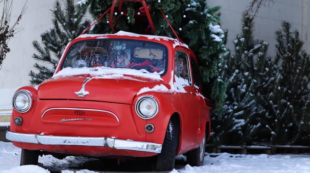 Red small retro car Zaporozhets with a Christmas tree fir tied to the roof. Fresh cut natural spruce for Christmas holiday decoration, family celebration symbol. Ukraine, Kiev - January 16, 2021