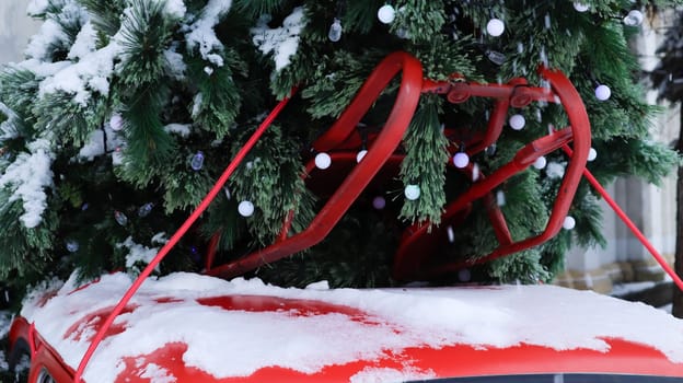Red small retro car with a Christmas tree fir tied to the roof. Fresh cut natural spruce for Christmas holiday decoration, family celebration symbol