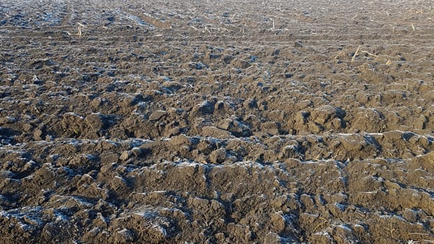 Agricultural field plowed by tractors. The field has been plowed, crops have been sown. Close up of soil texture. Rural scene. Farming and food industry. Arable land of chernozem