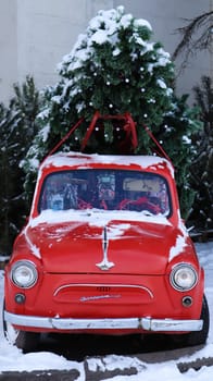 Red small retro car Zaporozhets with a Christmas tree fir tied to the roof. Fresh cut natural spruce for Christmas holiday decoration, family celebration symbol. Ukraine, Kiev - January 16, 2021