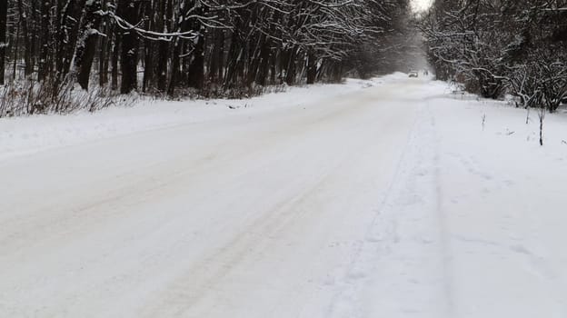 Winter landscape. Snow-covered trail in the city park. Snow covered trees in a winter forest with a road