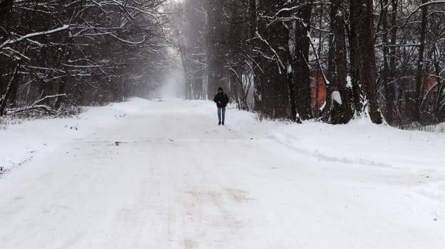 Winter landscape. Snow-covered trail in the city park. Snow covered trees in a winter forest with a road. Ukraine, Kiev - January 16, 2021