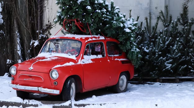 Red small retro car Zaporozhets with a Christmas tree fir tied to the roof. Fresh cut natural spruce for Christmas holiday decoration, family celebration symbol. Ukraine, Kiev - January 16, 2021