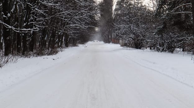 Winter landscape. Snow-covered trail in the city park. Snow covered trees in a winter forest with a road
