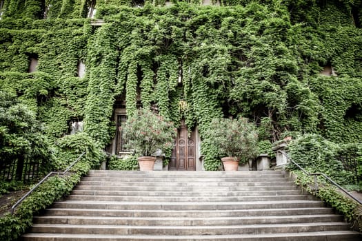 MILAN, ITALY - CIRCA AUGUST 2020 - Integration of nature and real estate on this old Italian building