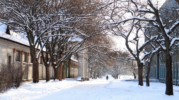 Winter landscape. Snow-covered trail in the city park. Snow covered trees in a winter forest with a road