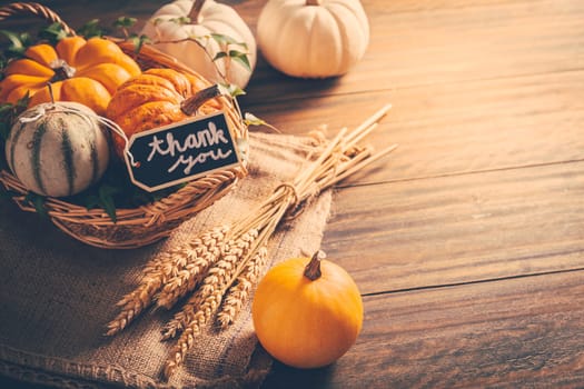 Thanksgiving - still life with pumpkins, ears and autumn leaves on wooden background