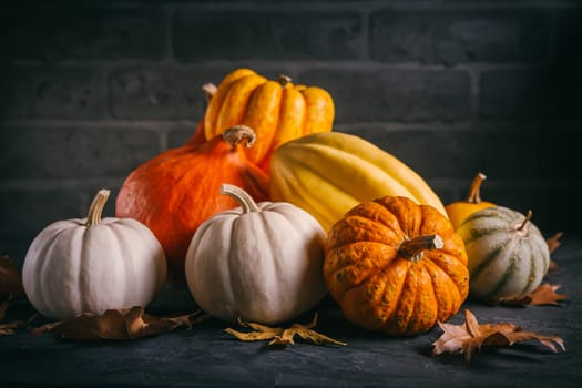 Pumpkins for Thanksgiving on black background on black background