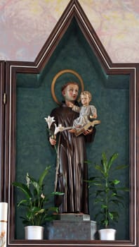 Saint Anthony holds the baby Jesus, the main altar in the church of Saint Anthony of Padua in Bjelovar, Croatia