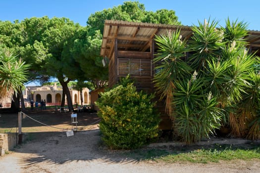 Ancient Roman thermal baths in Civitavecchia, Italy, surrounded by trees and vegetation. A wooden structure adds contrast to the historical ruins. Concept: heritage and nature interaction.