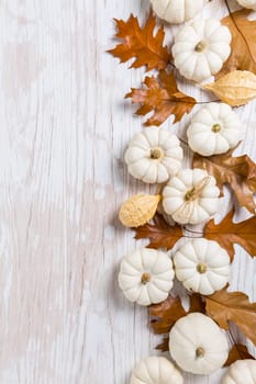 Happy thanksgiving - background with white pumpkins and autumn leaves on white wooden background