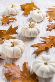 Happy thanksgiving - still life with white pumpkins and autumn leaves on white wooden background