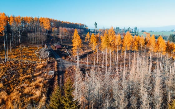 Aerial view of autumn sunrise countryside, traditional fall landscape with rising sun in Central europe. Foggy and misty sunrise. Frozen landscape from bird eye. Czech Republic,Vysocina highland