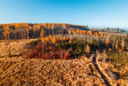 Aerial view of autumn sunrise countryside, traditional fall landscape with rising sun in Central europe. Foggy and misty sunrise. Frozen landscape from bird eye. Czech Republic,Vysocina highland