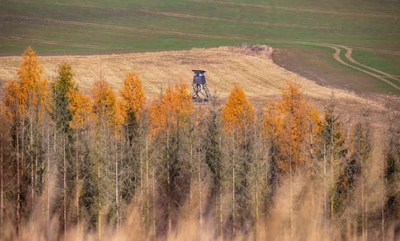Wooden Hunters hunting tower in countryside landscape, Fall autumn season, Czech Republic, Highland, European Scenery