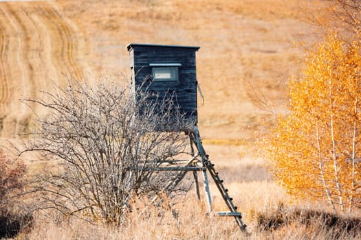 Wooden Hunters hunting tower in countryside landscape, Fall autumn season, Czech Republic, Highland, European Scenery