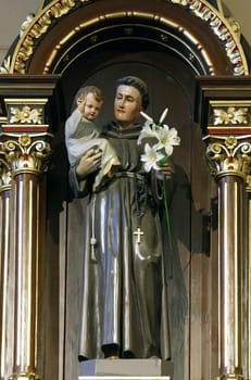 Saint Anthony of Padua holds a child Jesus, a statue on the altar of Saint Anthony of Padua in the parish church of the Annunciation of the Virgin Mary in Velika Gorica, Croatia