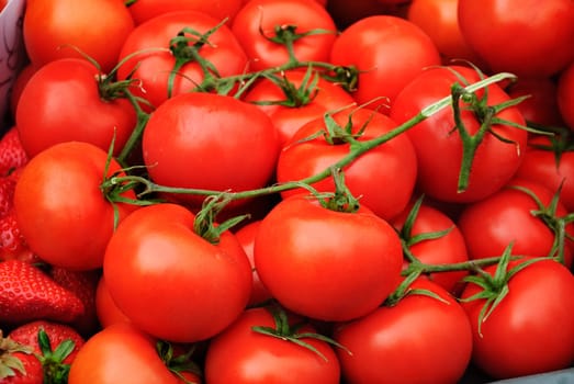 Fresh tomatoes at green market