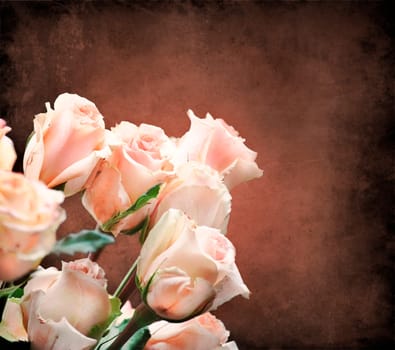 Bouquet of beautiful pink roses