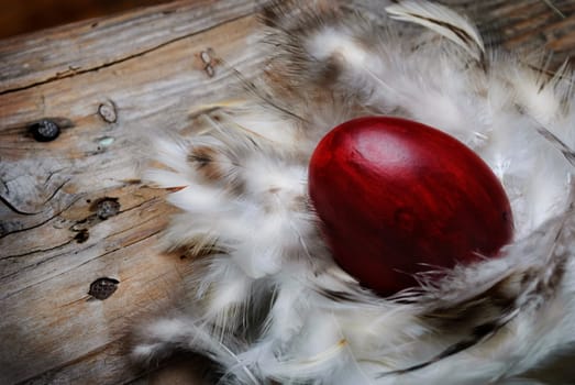 .Red Easter egg in feather nest