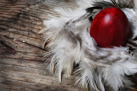 Red Easter egg in feather nest