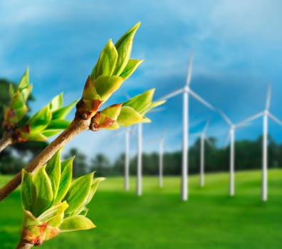 Ecology concept. Renewable energy from wind turbines.
