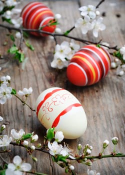 Easter eggs and cherry blossom on wooden plank