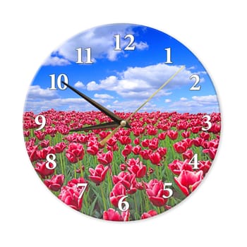 Wall watch with red tulips on flower bed against blue sky. Home design element. Round wall clock isolated on white background. Modern round watch. Home design element. Design execution