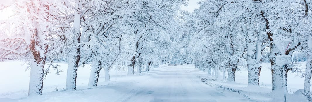 Road covered by snow in snowy morning. Panoramic view of the beautiful way in snowy natural park.