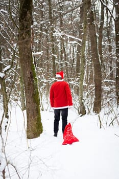 A traditional Santa Claus in a hat and a bag of gifts walks through the forest carrying gifts. Back view